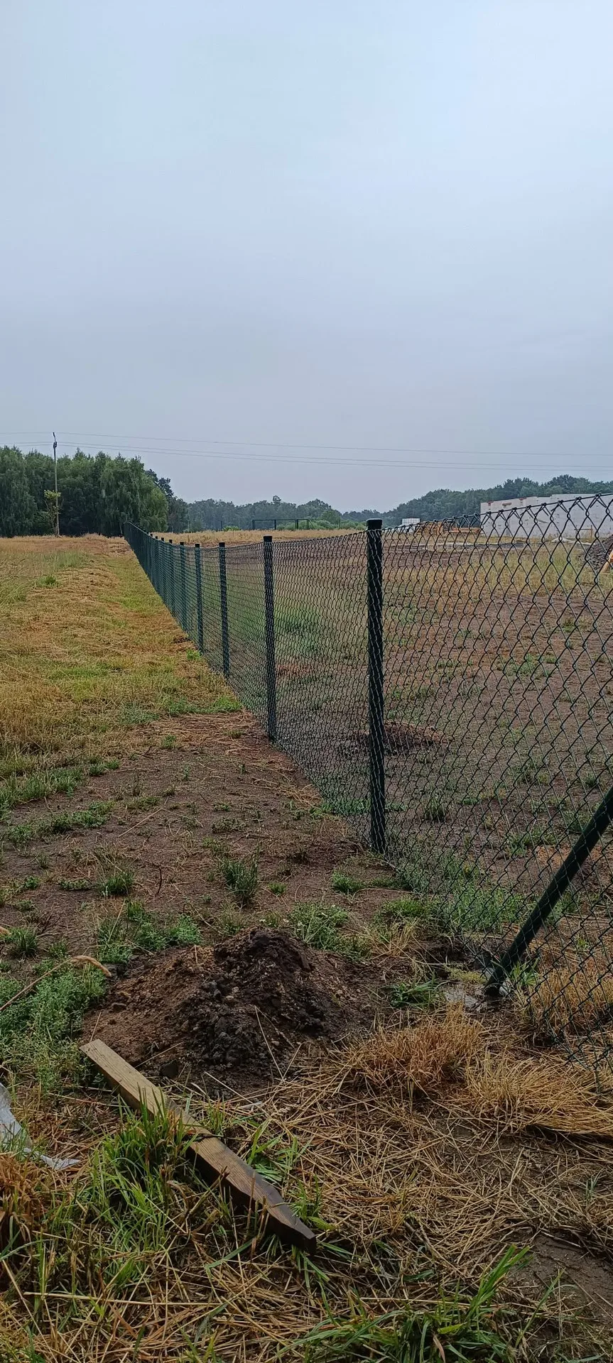 Nowe ogrodzenie z siatki metalowej
