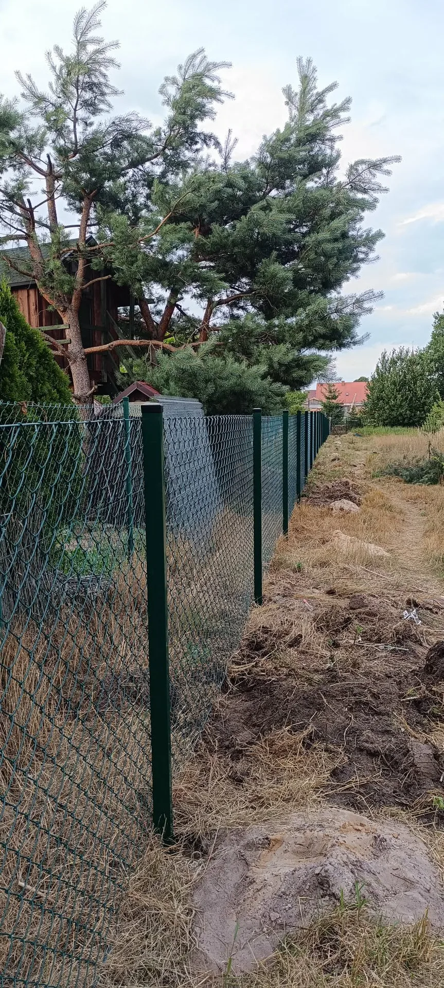 Ogrodzenie siatkowe z czarnymi metalowymi słupkami na terenie działki