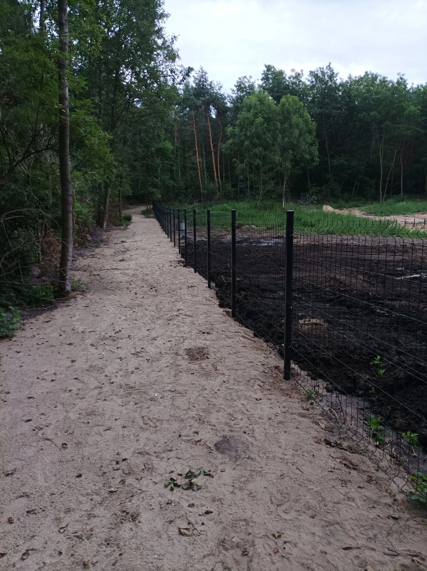 Czarne metalowe słupki i siatka ogrodzeń wzdłuż gruntowej ścieżki w lesie
